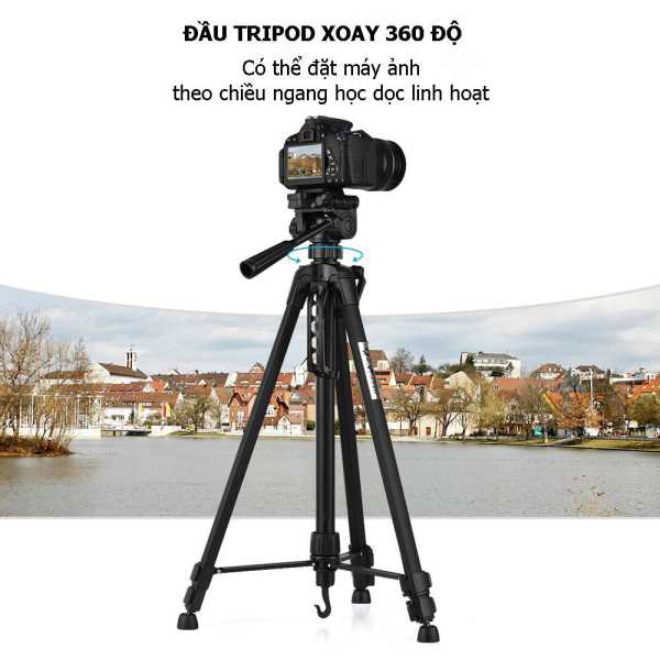 Chân Máy Ảnh Weifeng WT-3520